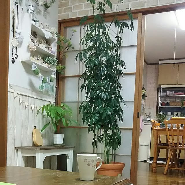 naopyiさんの実例写真