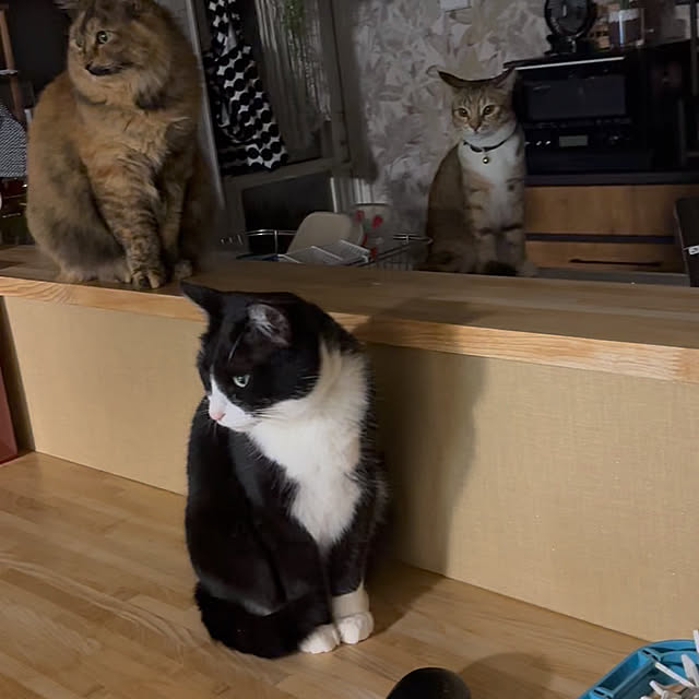 Suさんの実例写真