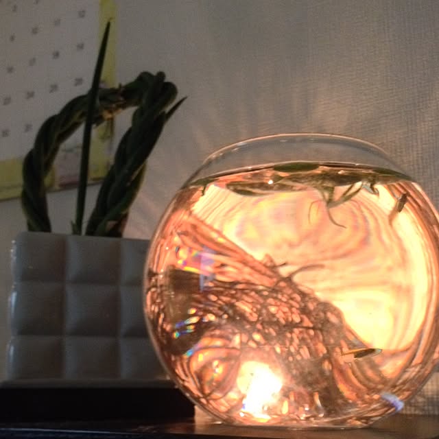 mizuさんの実例写真
