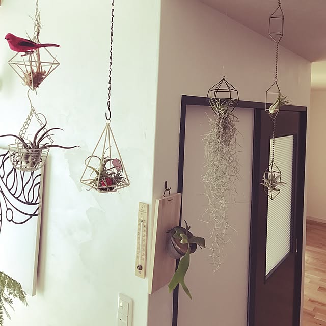 MiRiderさんの実例写真