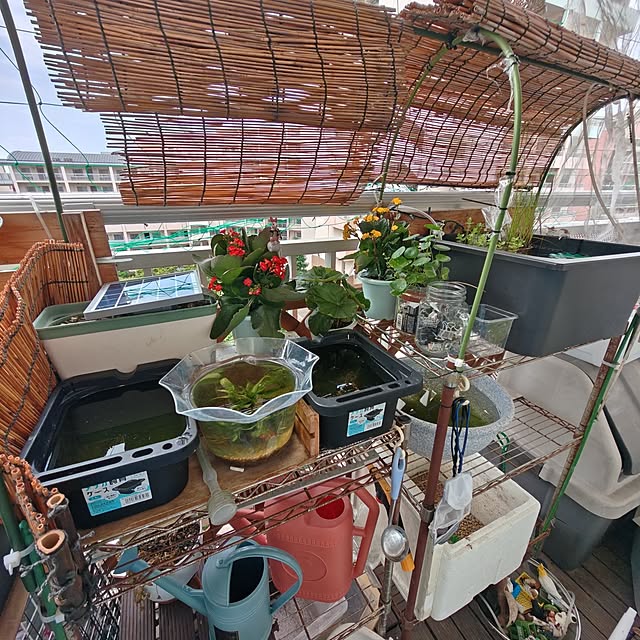 mariaさんの部屋
