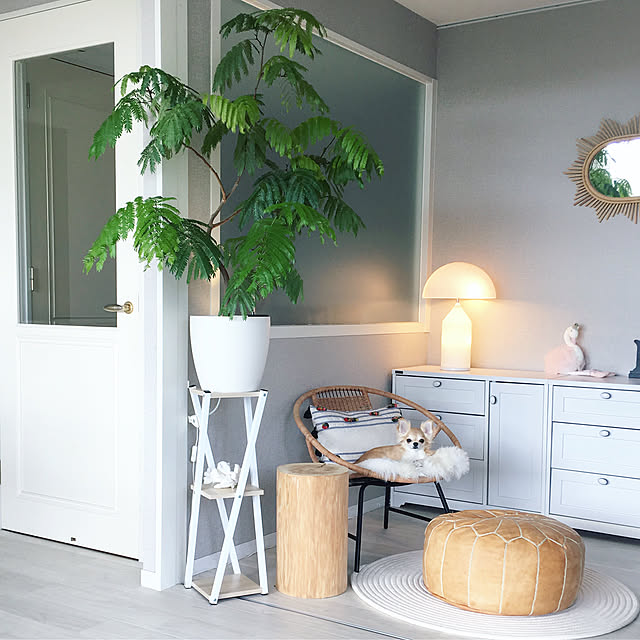 k.home1224さんの実例写真