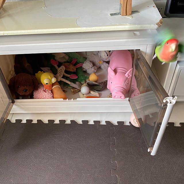 toratanさんの部屋