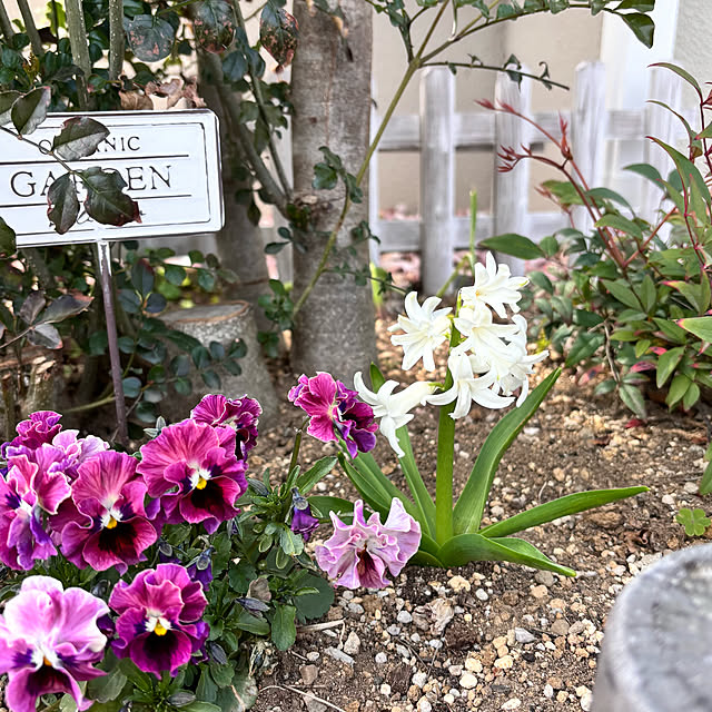 miyu39さんの部屋