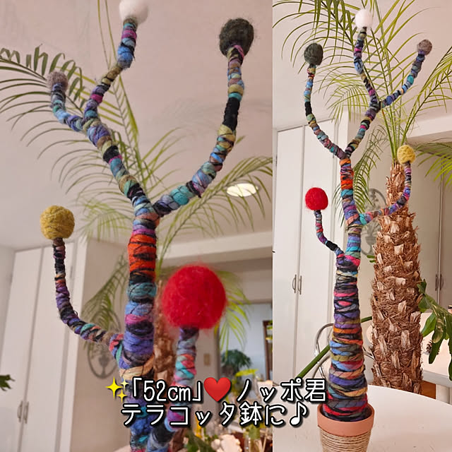 ami.majoさんの実例写真