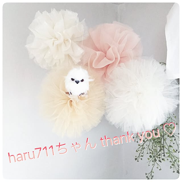 kusuttoさんの実例写真
