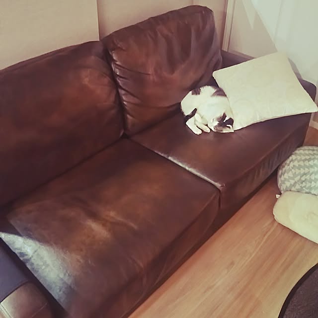 sunnyさんの実例写真