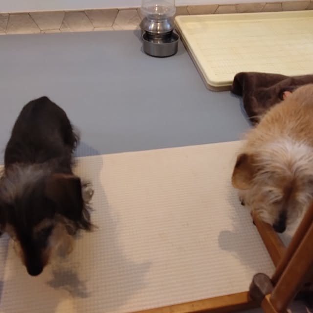 chocococoaさんの部屋