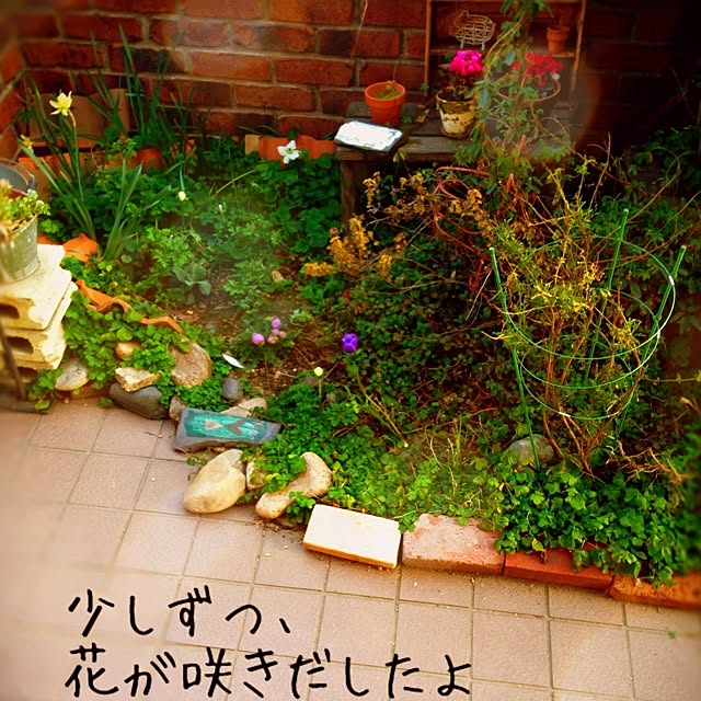 38coreさんの実例写真