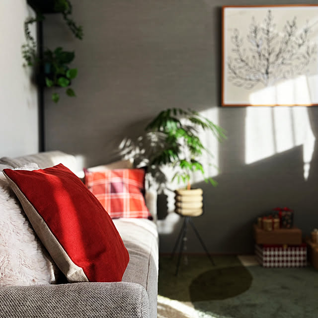 Anthuriumさんの部屋