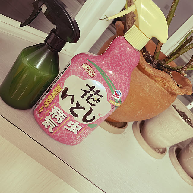 lippieさんの実例写真
