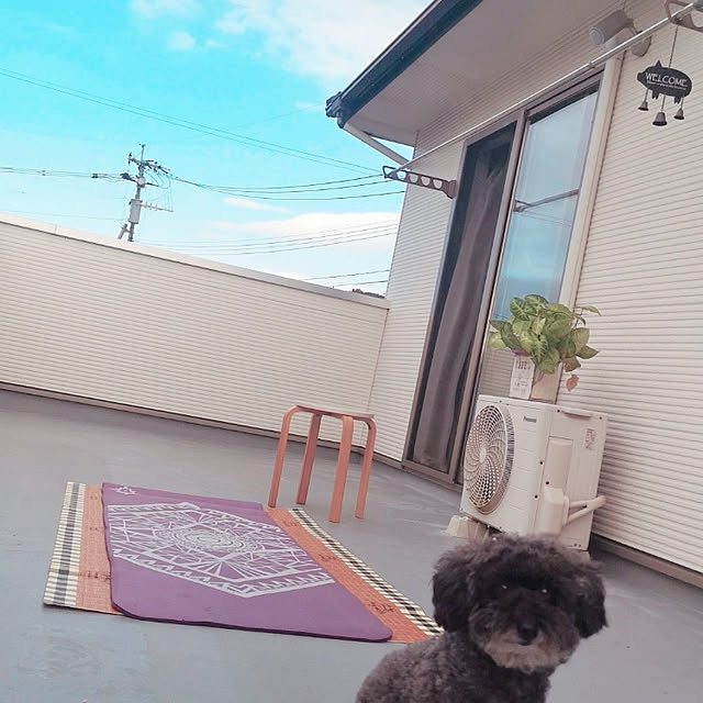 taitanさんの実例写真