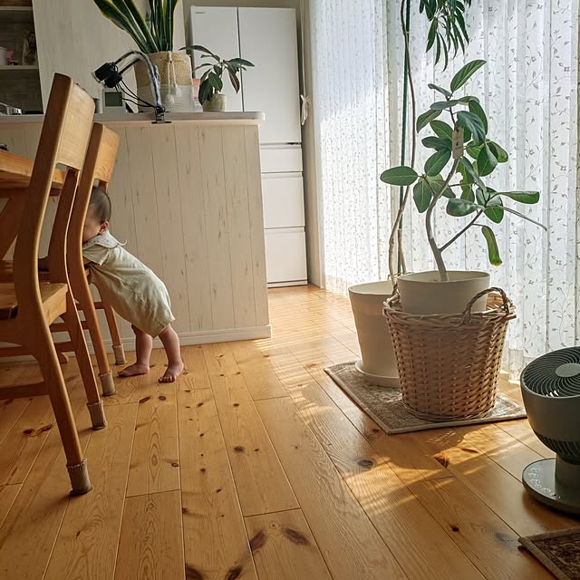 ri-eさんの実例写真