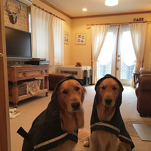 pao-mamaさんの実例写真