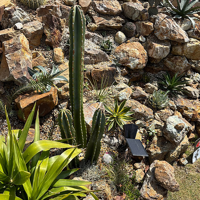 bonber0212さんの実例写真