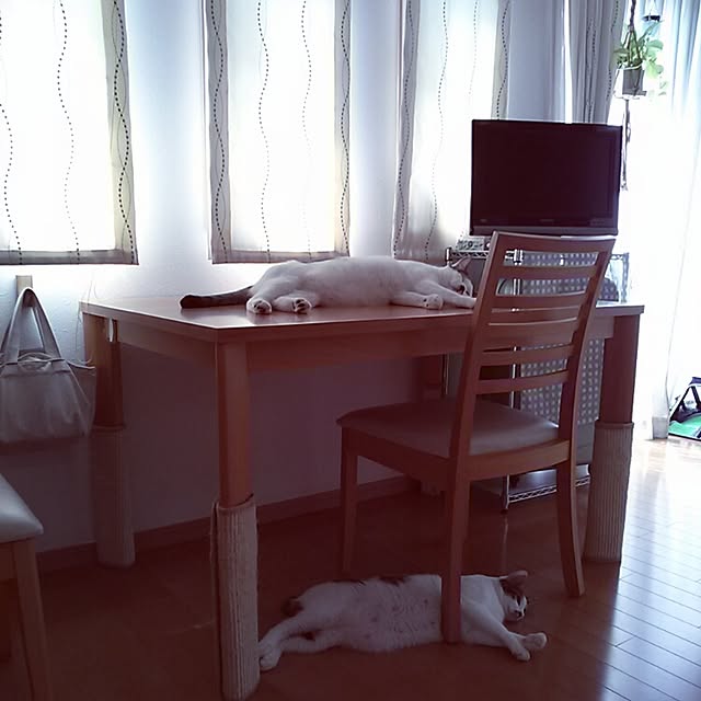 kamekoさんの実例写真