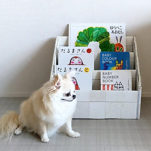 ponさんの実例写真