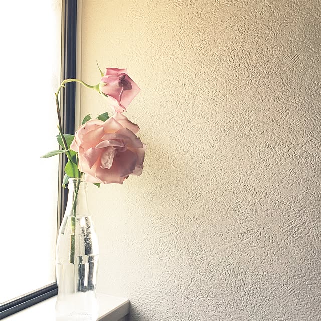 kurikuma-kさんの実例写真