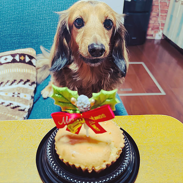 maronさんの実例写真