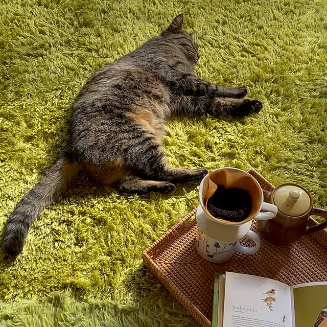 weさんの部屋