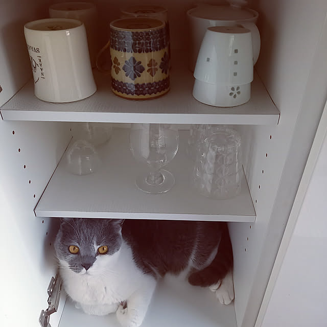 rhuさんの実例写真
