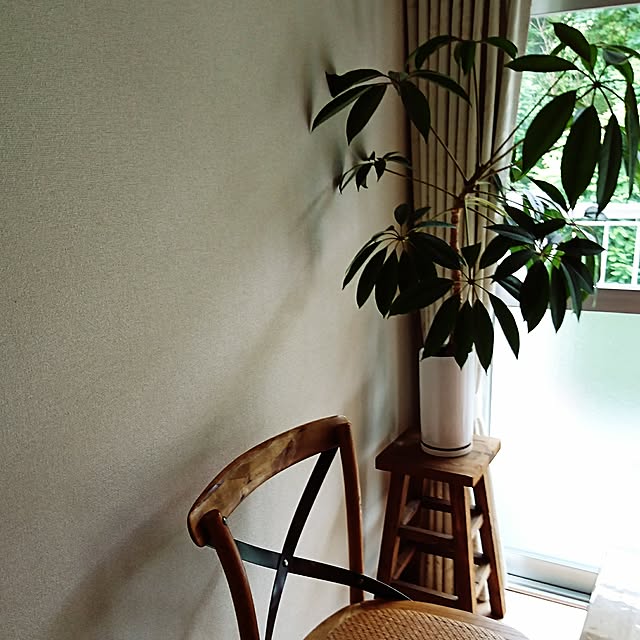 Kojiroさんの実例写真