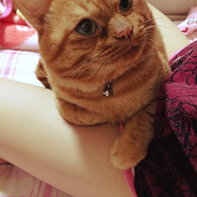 manaさんの実例写真