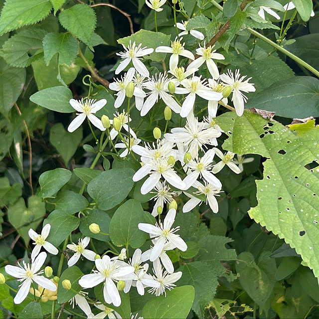 banbinaさんの部屋