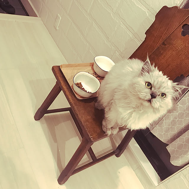mikiさんの実例写真