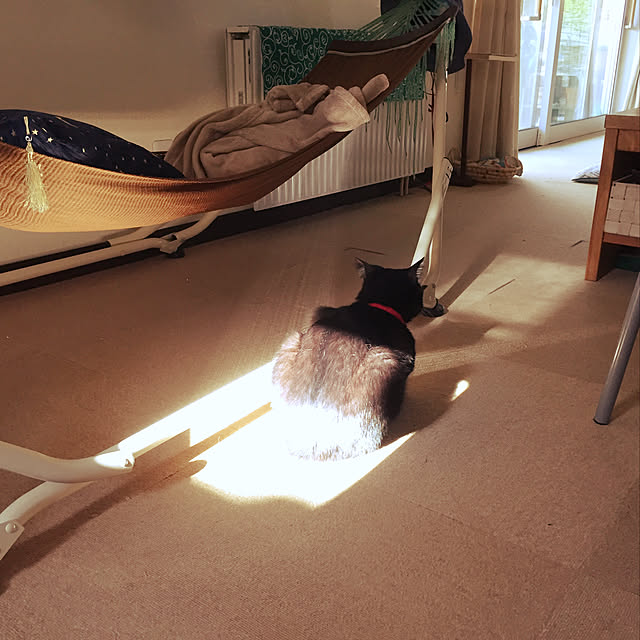 nanaさんの実例写真