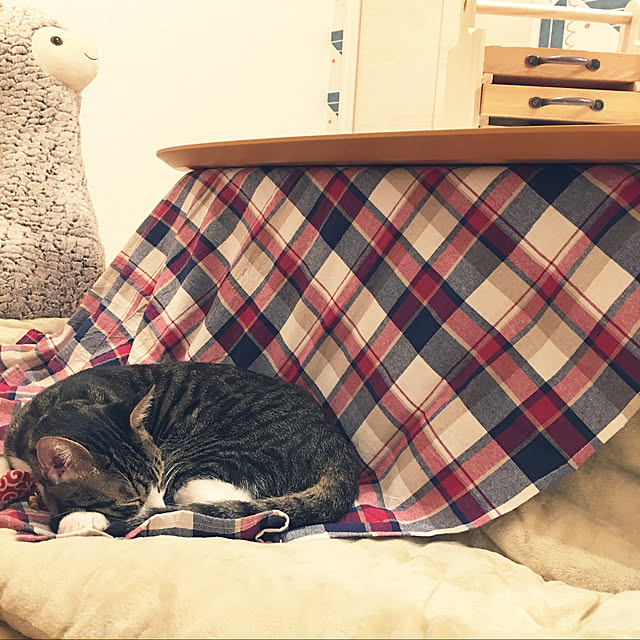 ippu0303Karinさんの実例写真