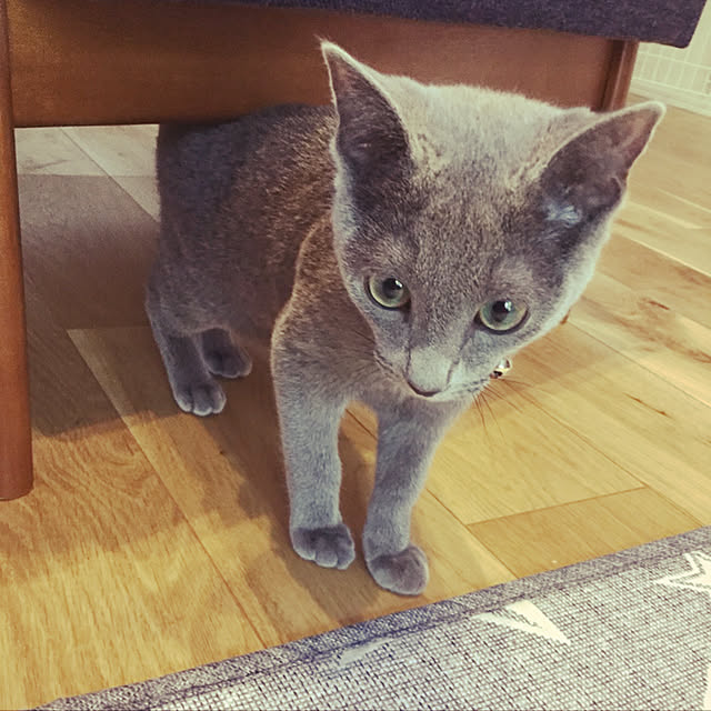 kaoriさんの実例写真