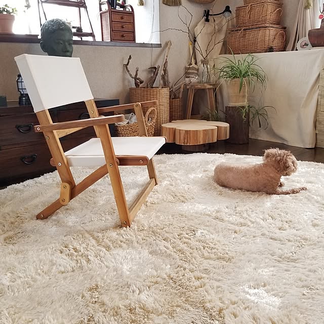 midoriさんの部屋