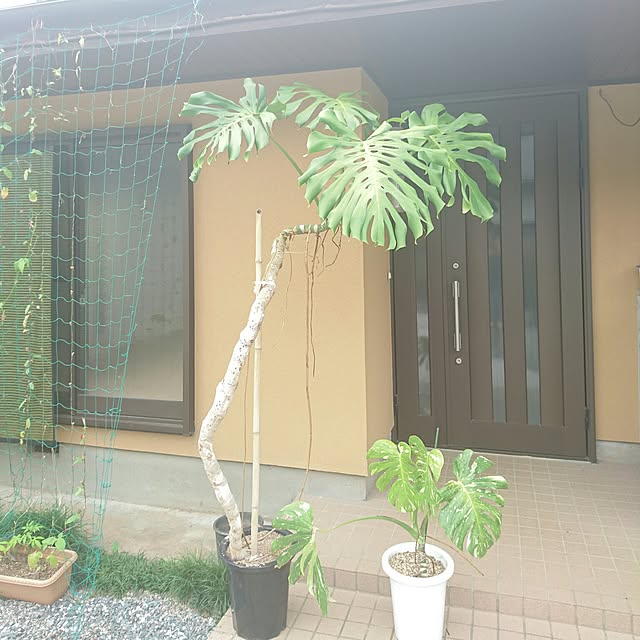 427klandさんの実例写真