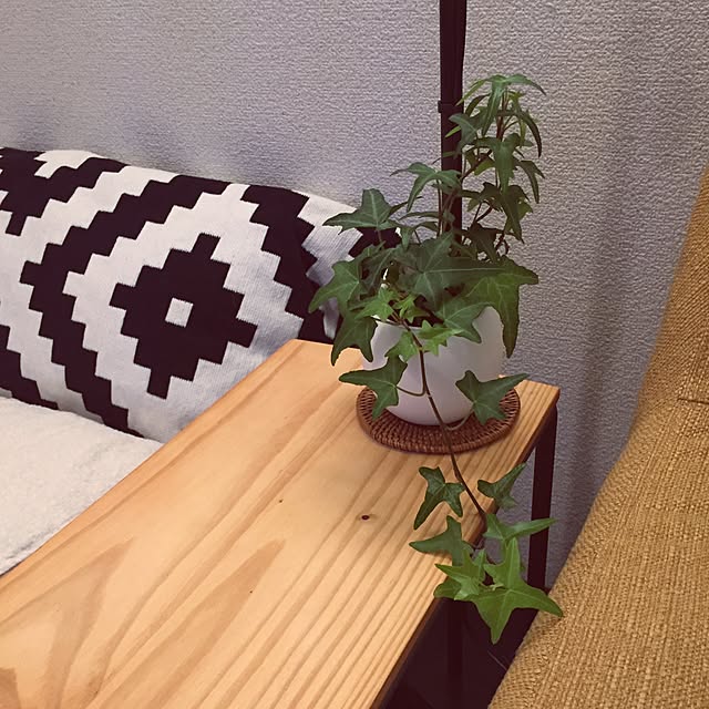 water_mashroomさんの実例写真