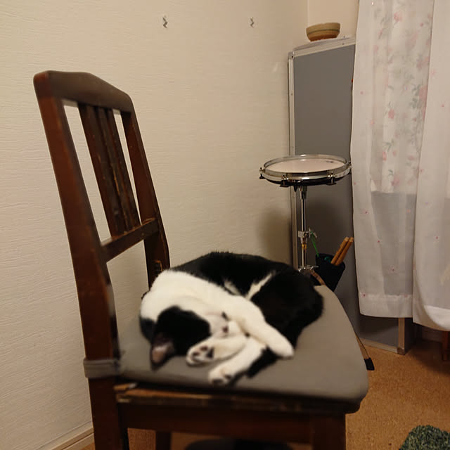 okyosan101さんの実例写真