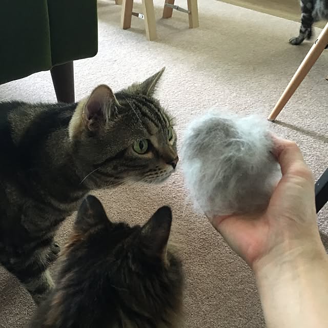 mikomaruさんの実例写真