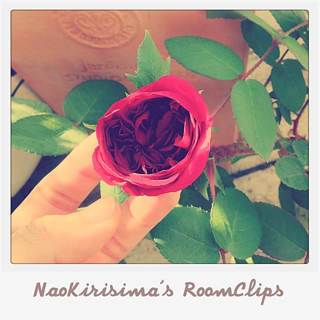 naokirisimaさんの実例写真