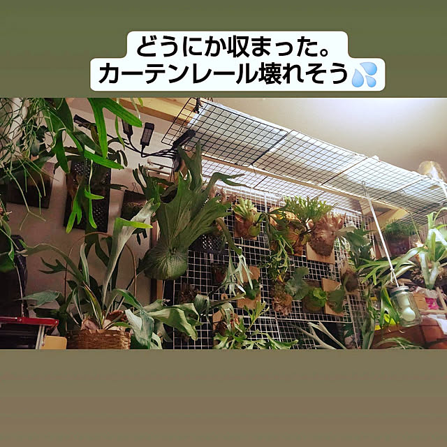 mikiさんの実例写真