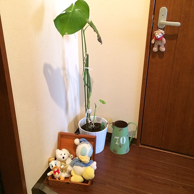 kyooRoomさんの実例写真