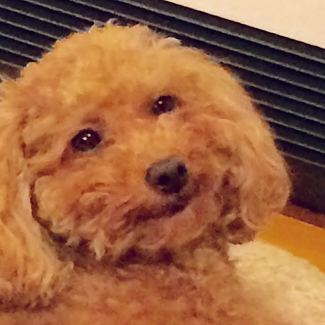 Momoさんの実例写真