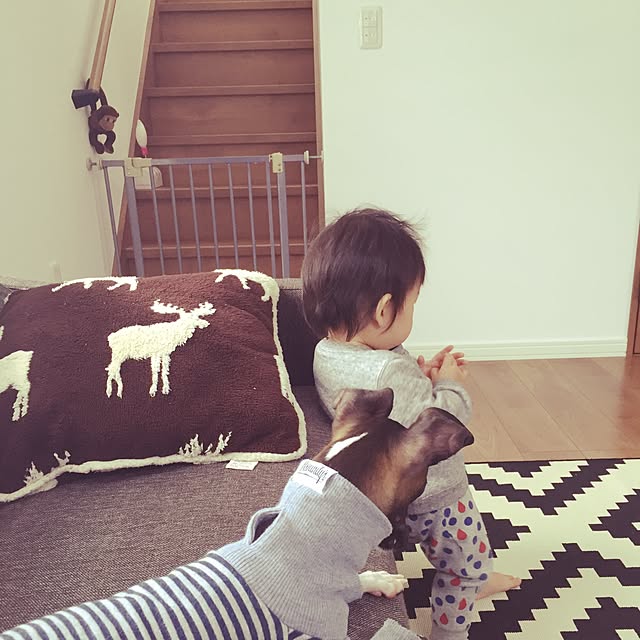 hiroさんの実例写真