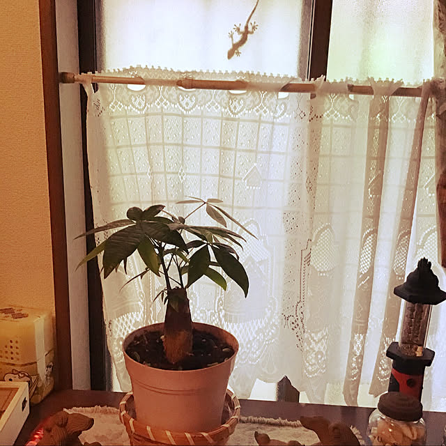 部屋全体のインテリア実例 - 2020-10-02 14:24:13