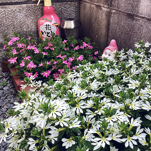 richanさんの実例写真