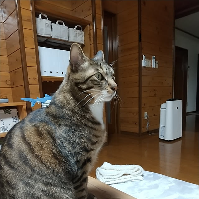 sho.27.yuki.11さんの実例写真