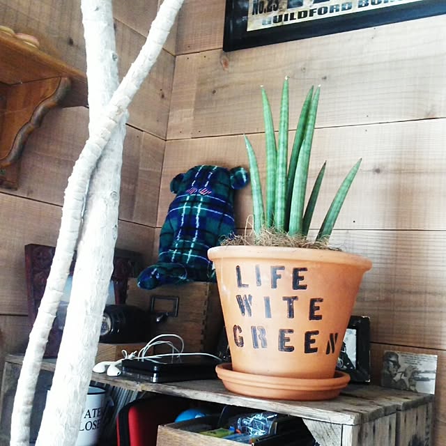 oliveさんの実例写真