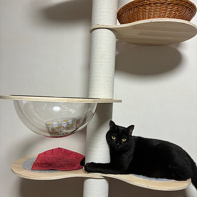 nannanさんの実例写真