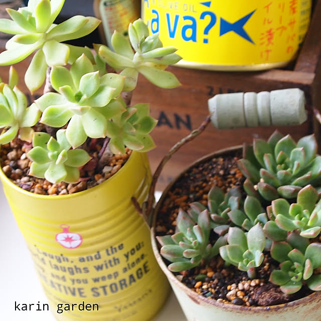 karinさんの実例写真
