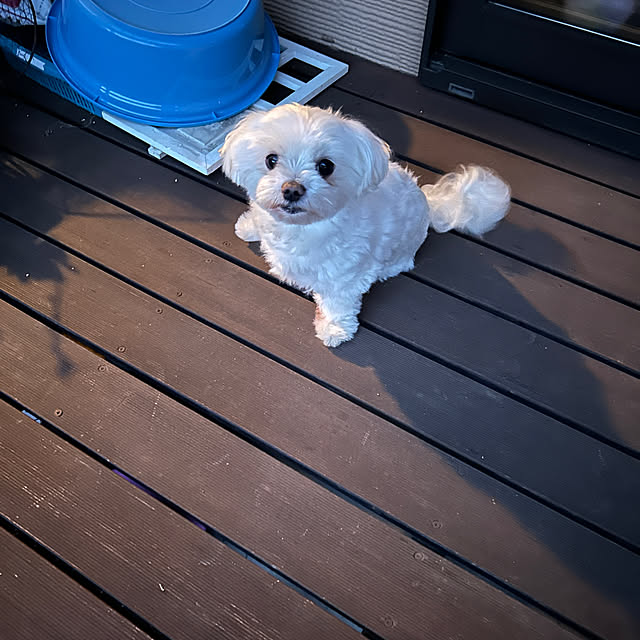 emaryさんの部屋