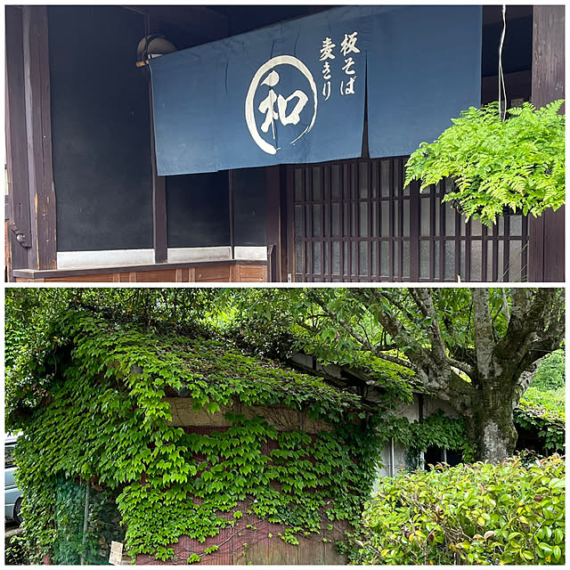 nobikoさんの部屋